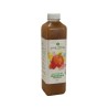 JUGO MANZANA 1LT. VILLA DE PATOS