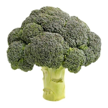 BROCOLI KG